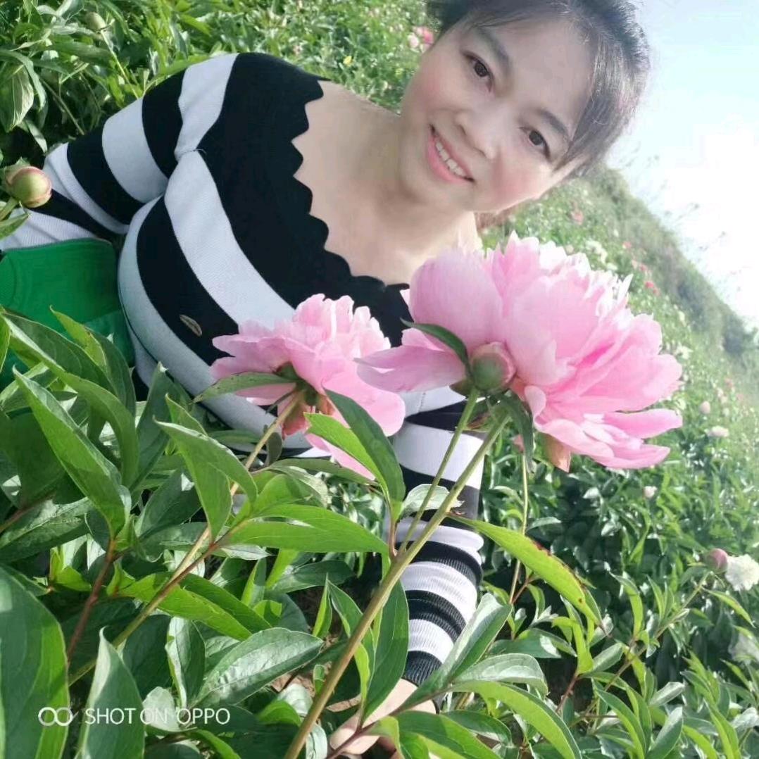 九妹