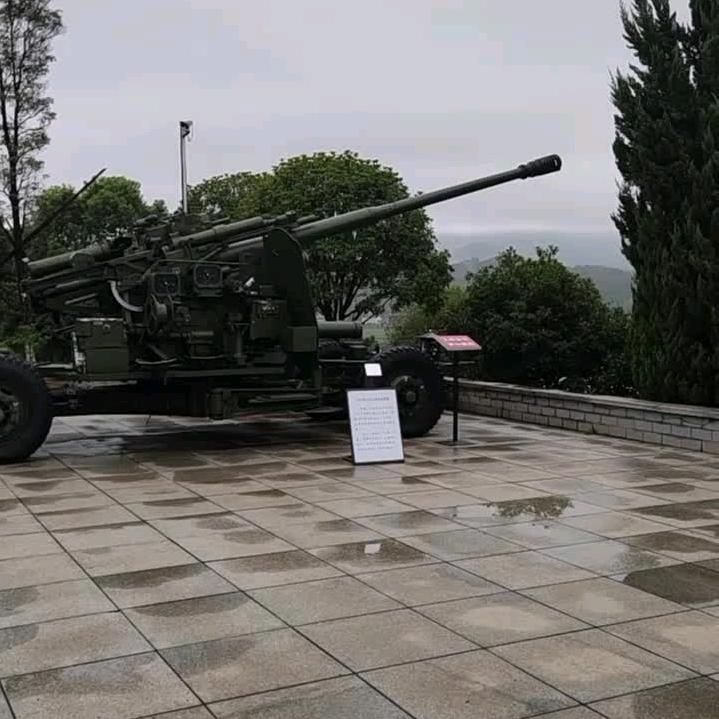 心