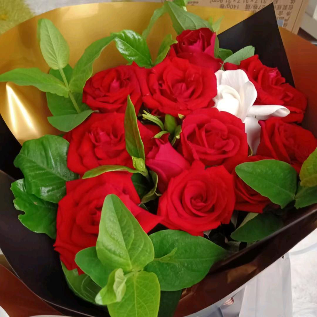 （我只想发财）