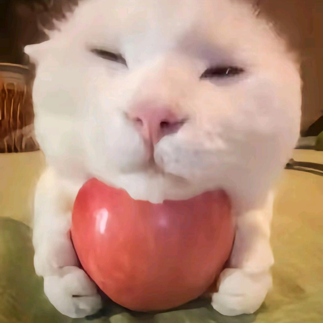 无镜