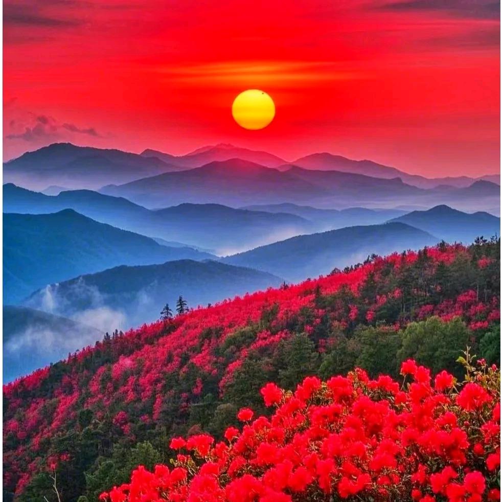 真诚：