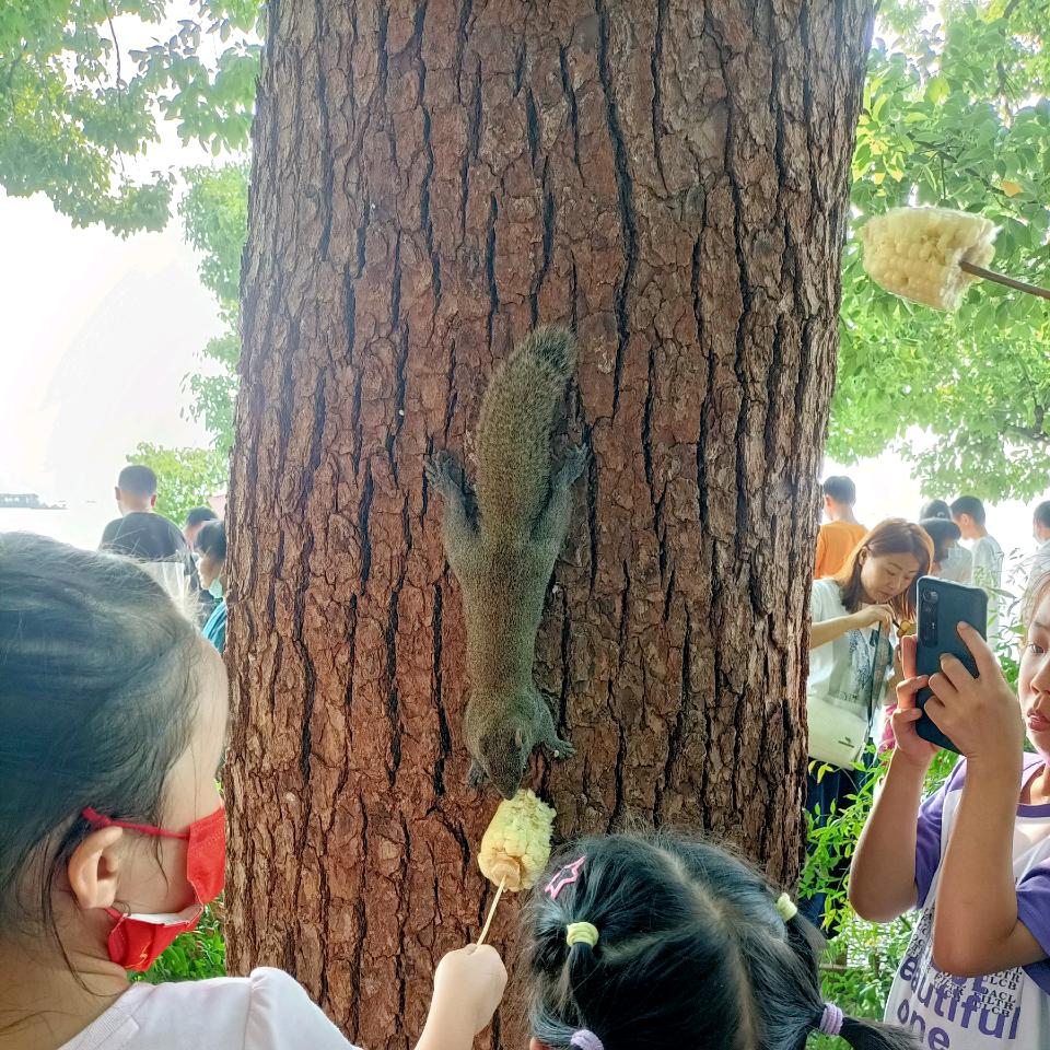 小小浪花
