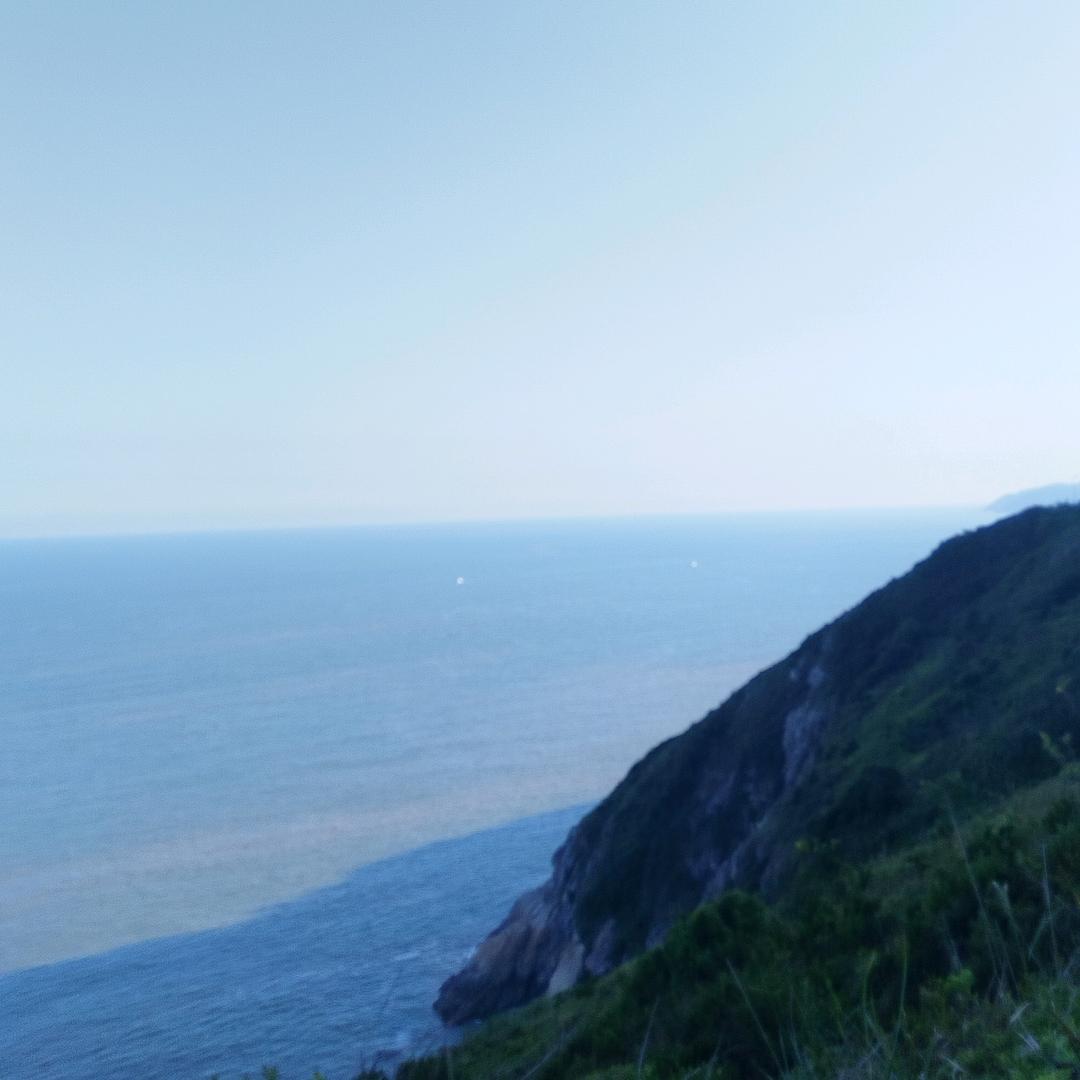 村姐