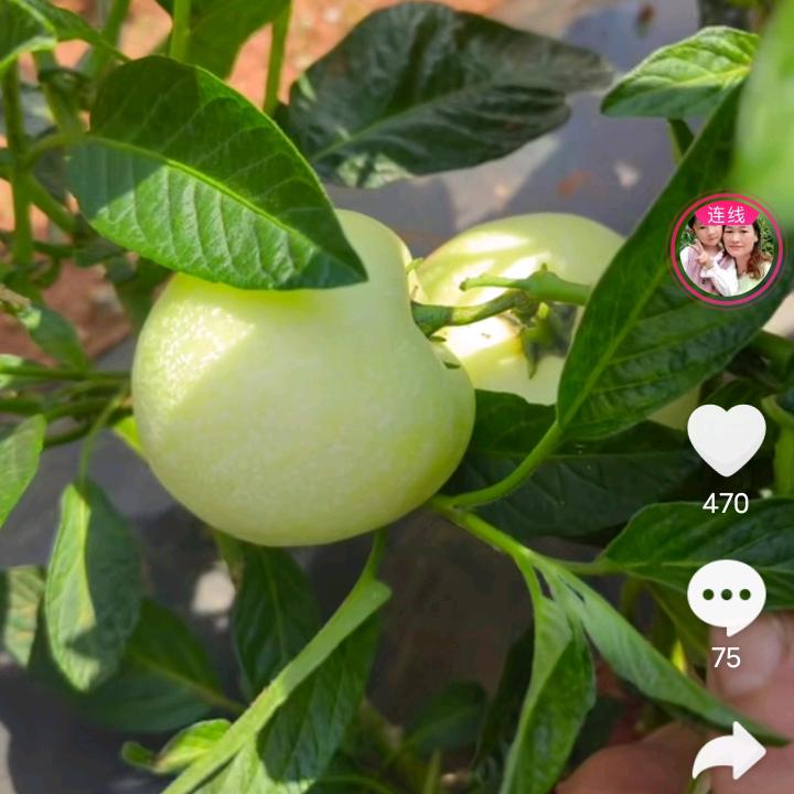 H̠̄Ā̠P̠̄P̠̄Ȳ̠︎︎B̠̄Ī̠