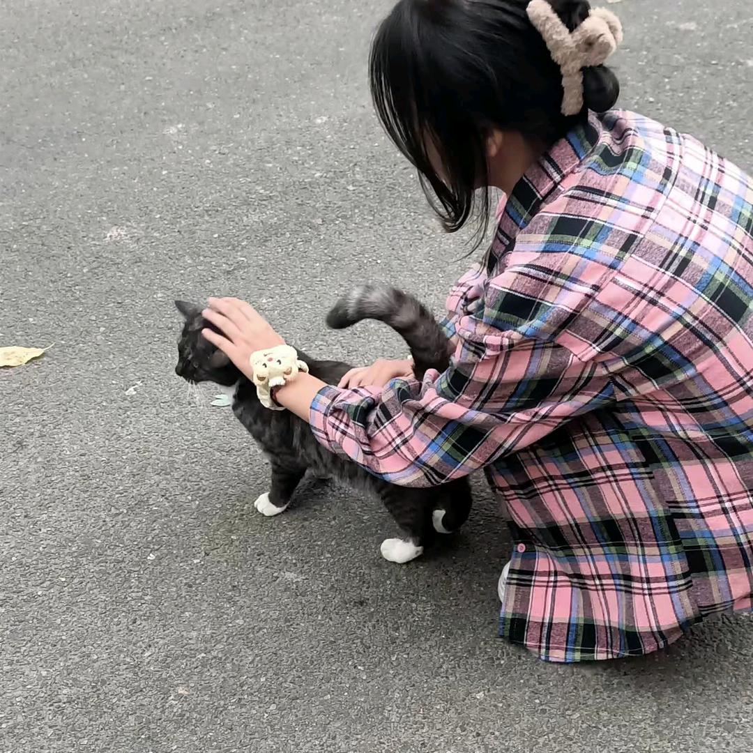 杨姐