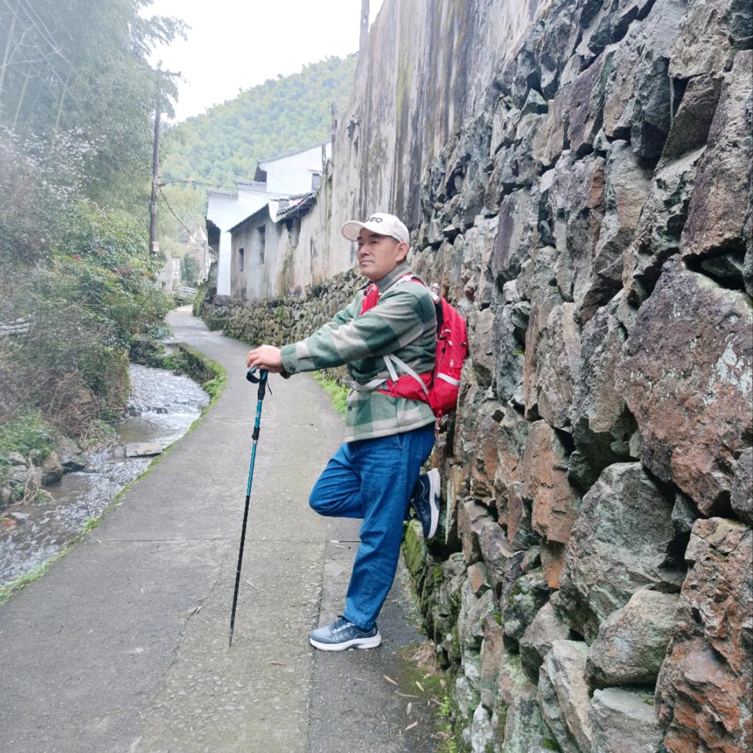 雁南飞