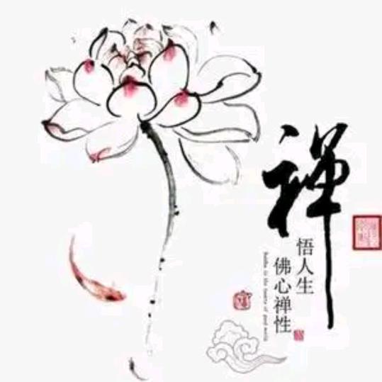 月老师智慧说3