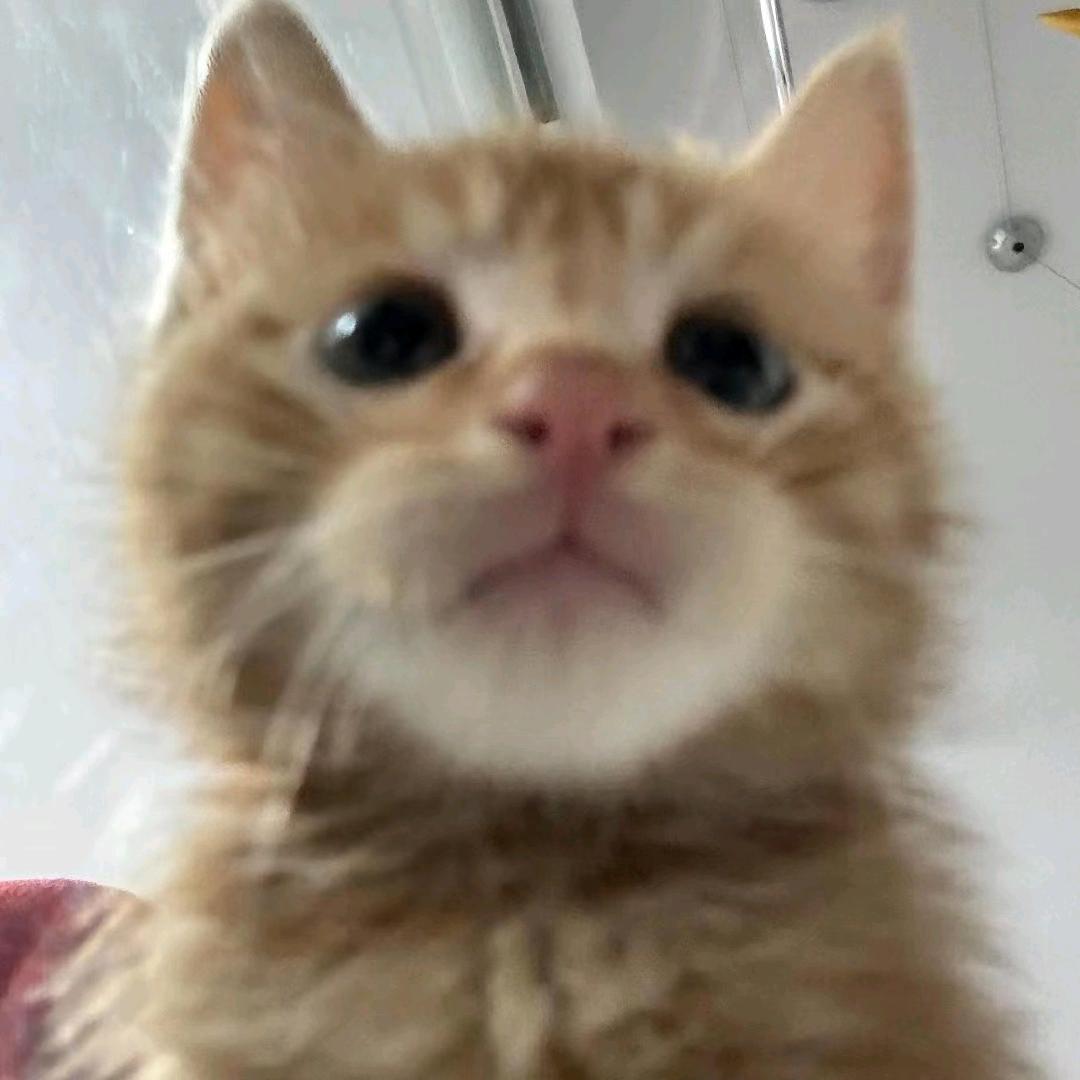1234567890