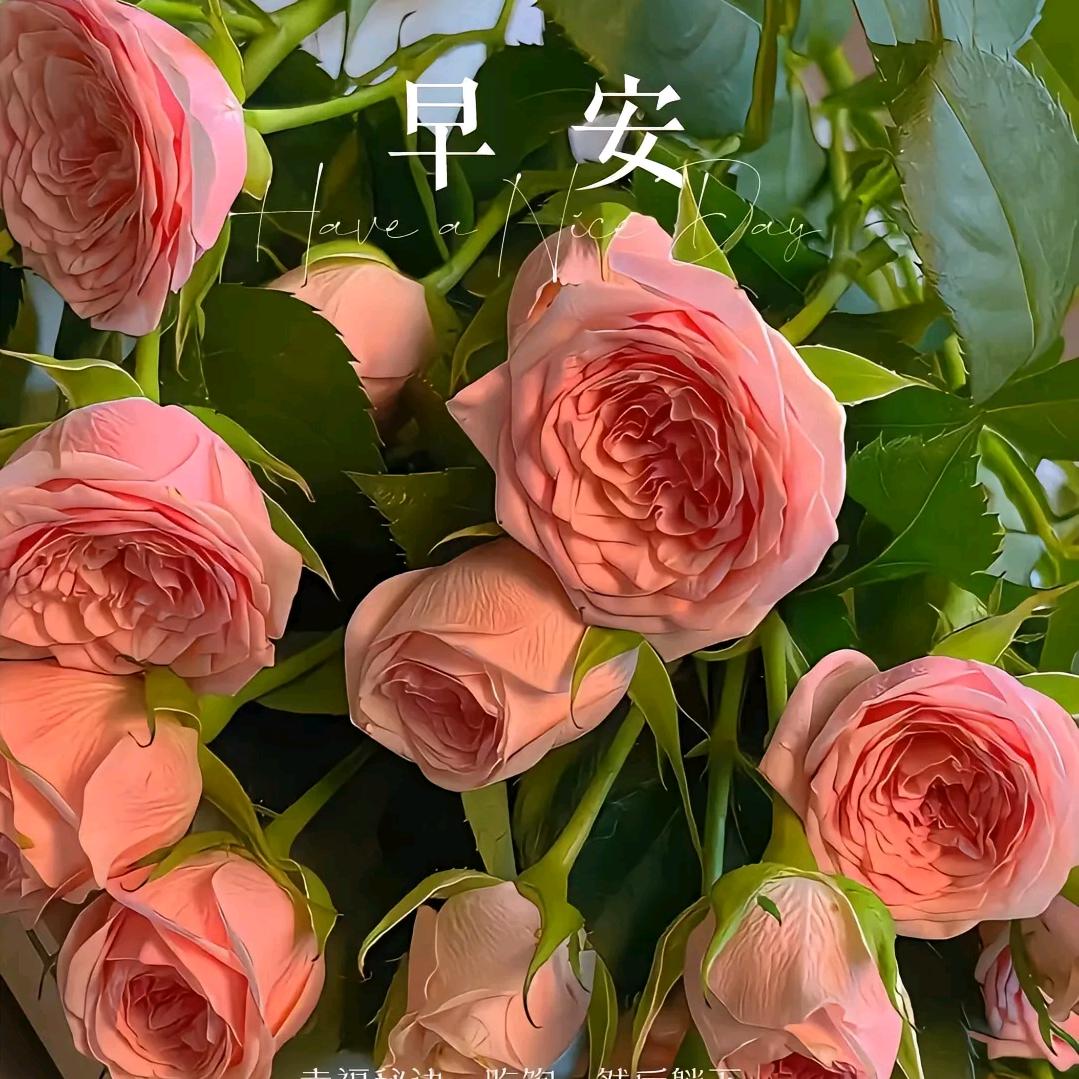 中霖高科-小郭老师