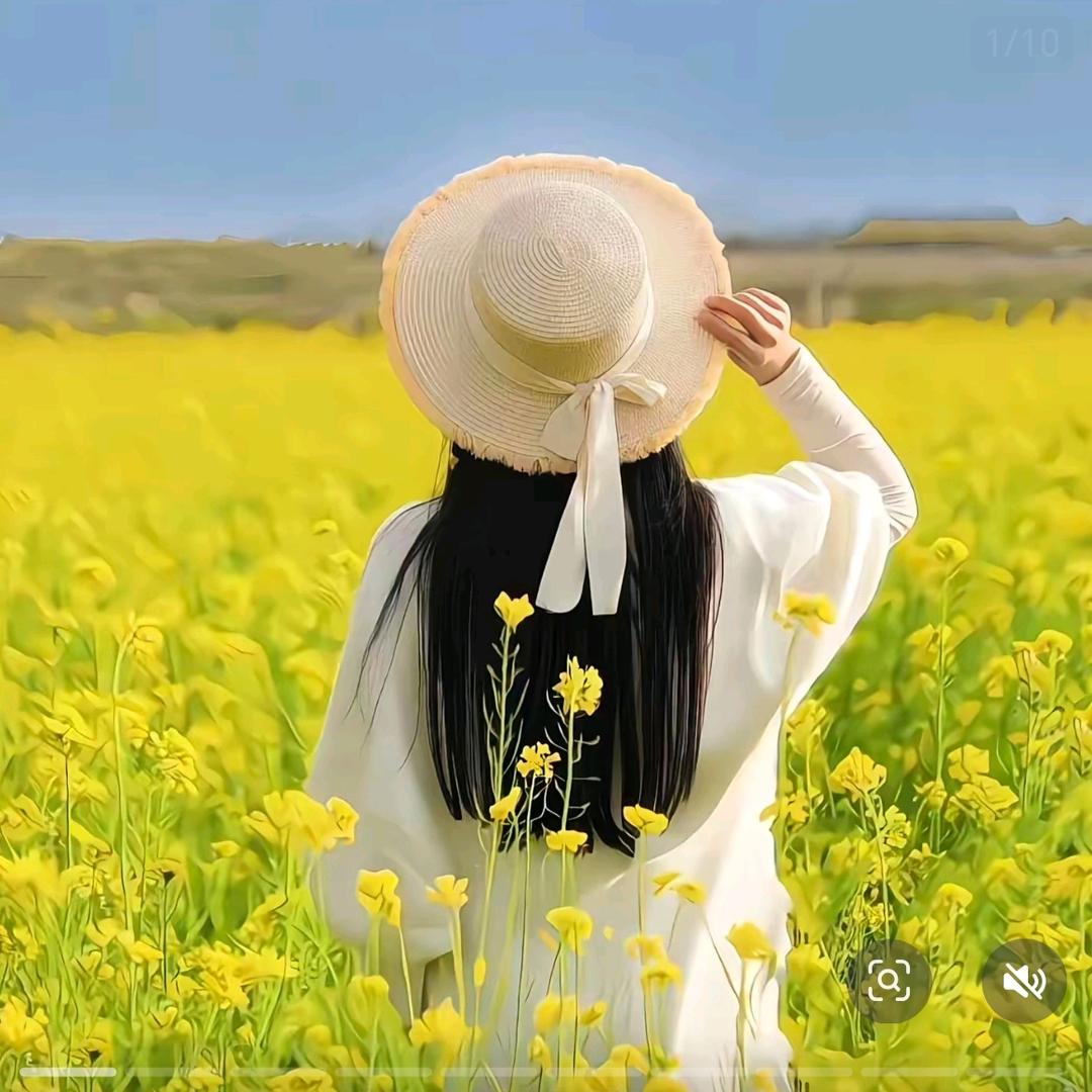 QEW夏沫L