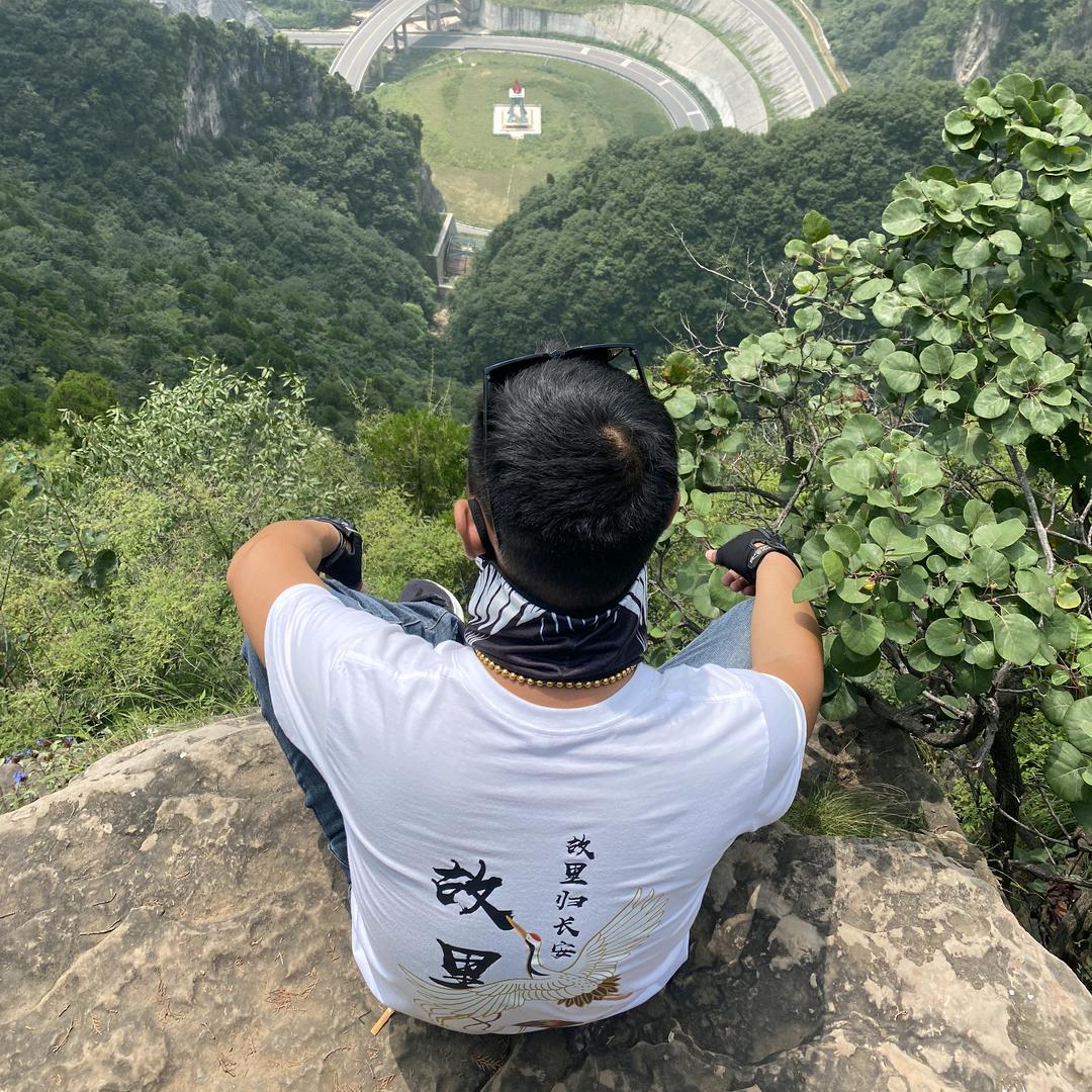 丁  娃  子，(努力，奋斗)