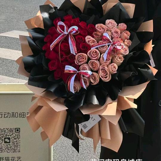 琪奇
