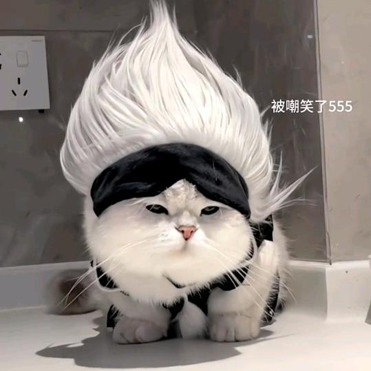 番茄味的陆小果