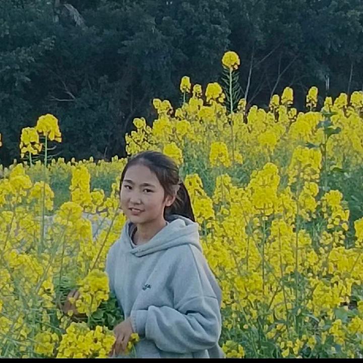 茂林车行何姐姐