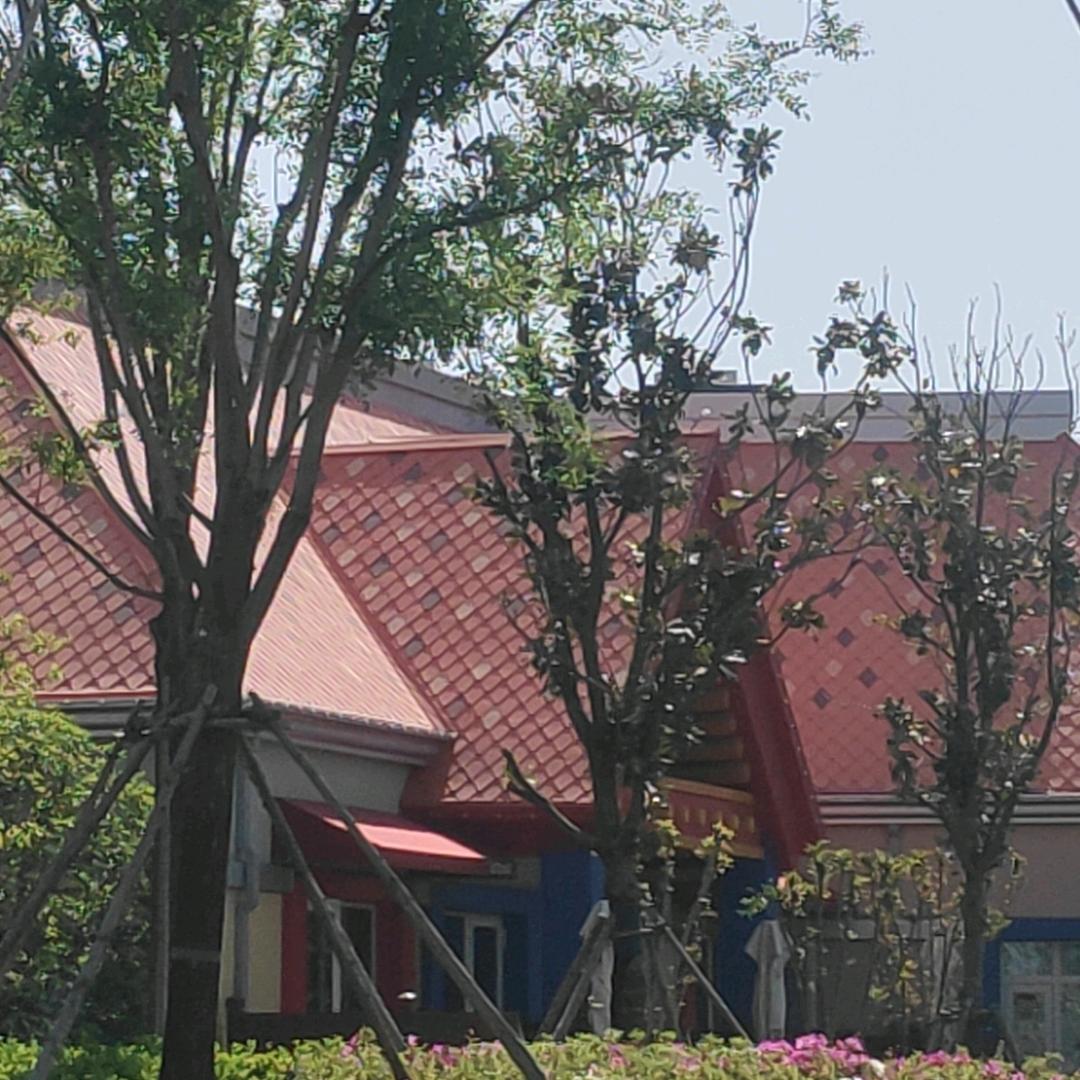 叶子，九妹，九妹