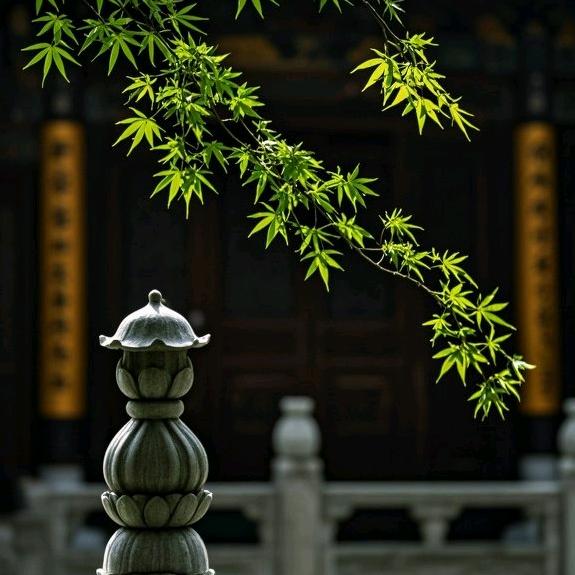 慧辛