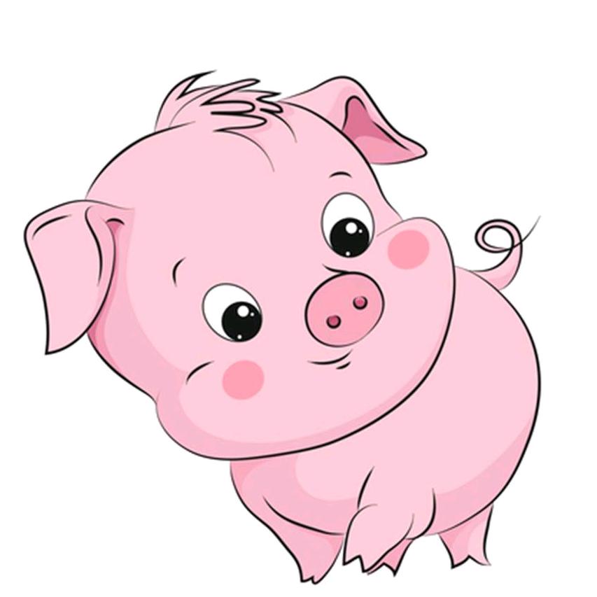 小丁说养殖