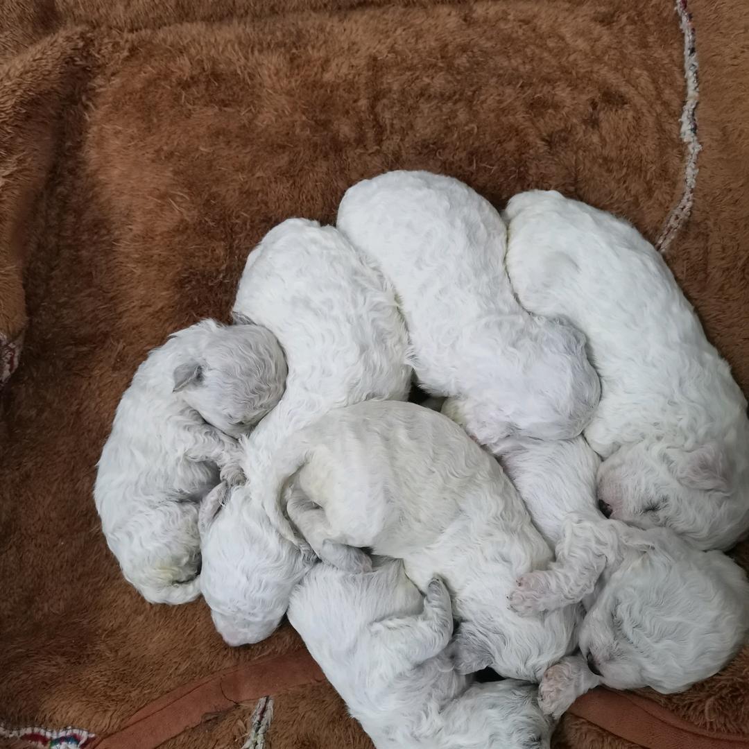 好久不见十分想念