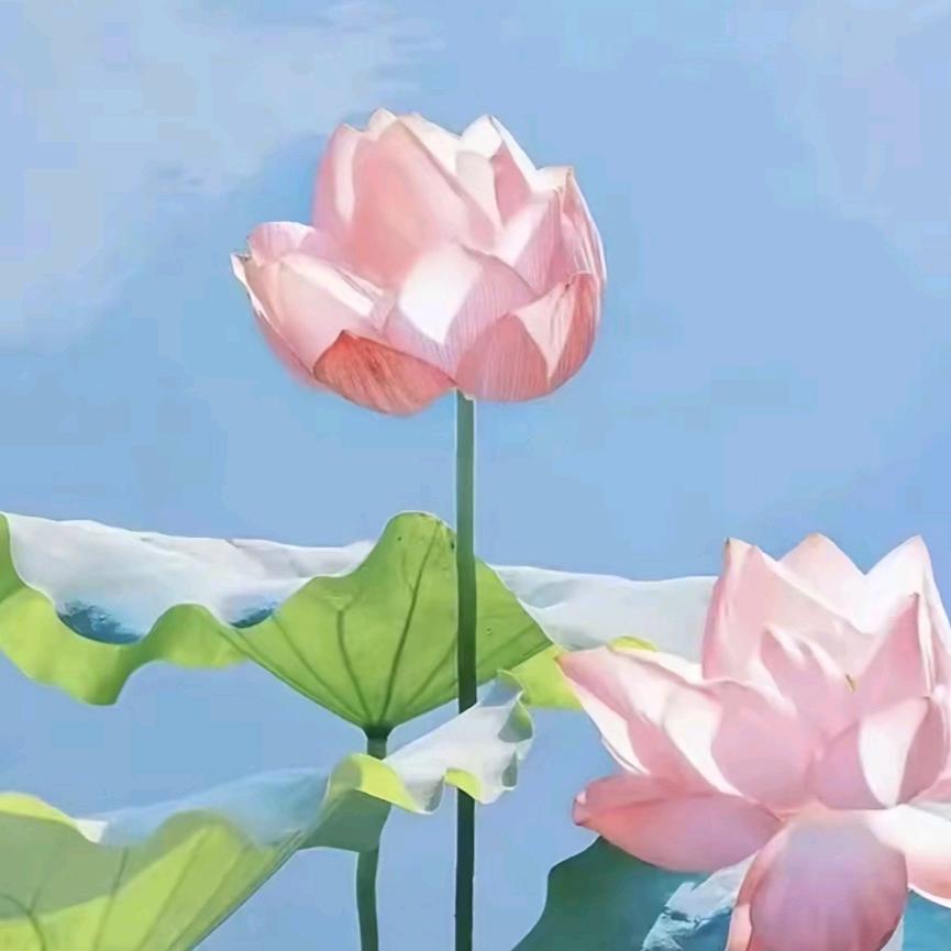 缘聚故事会