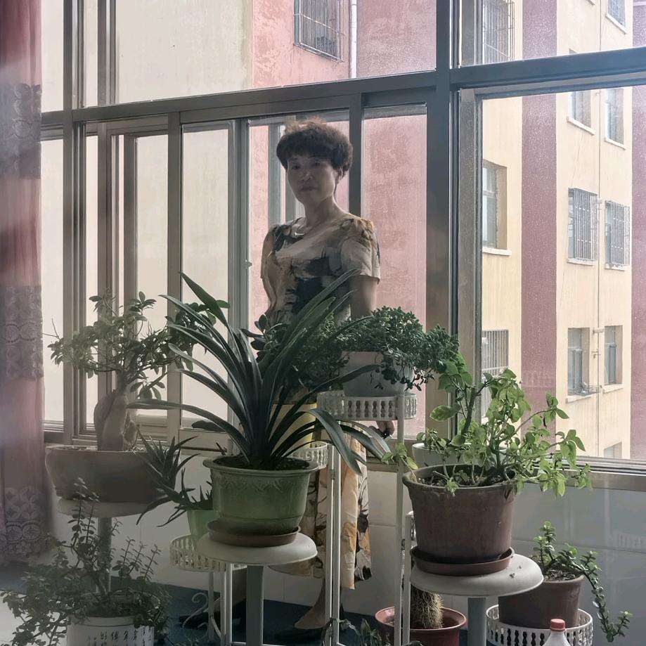 暗香袭人205