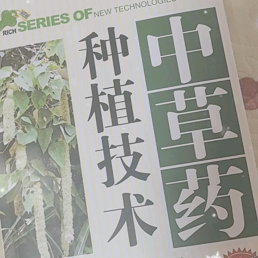 农人小姚