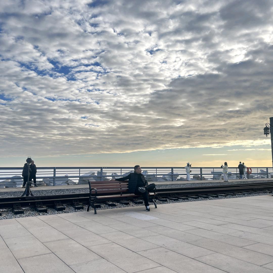 白茶清欢无别事