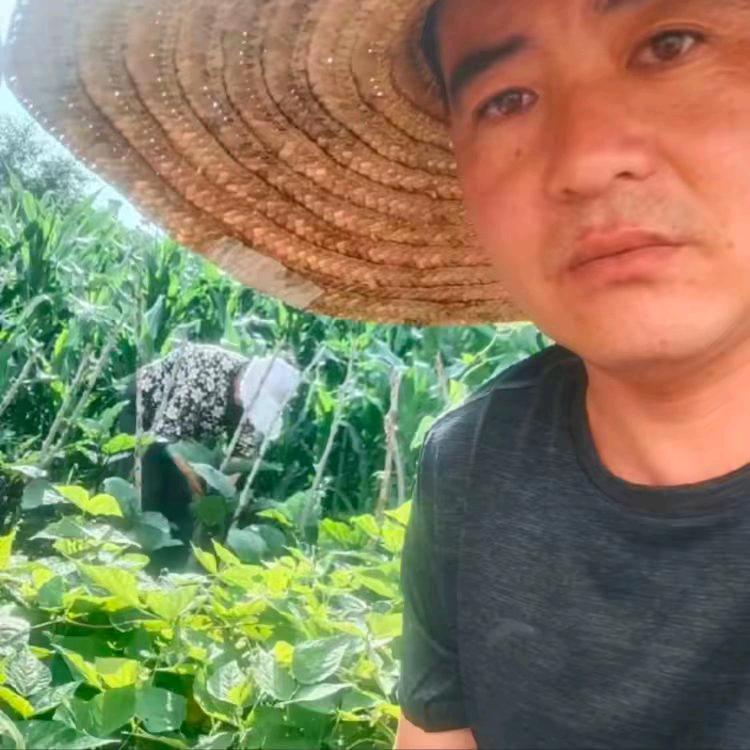 绥棱刘三小店