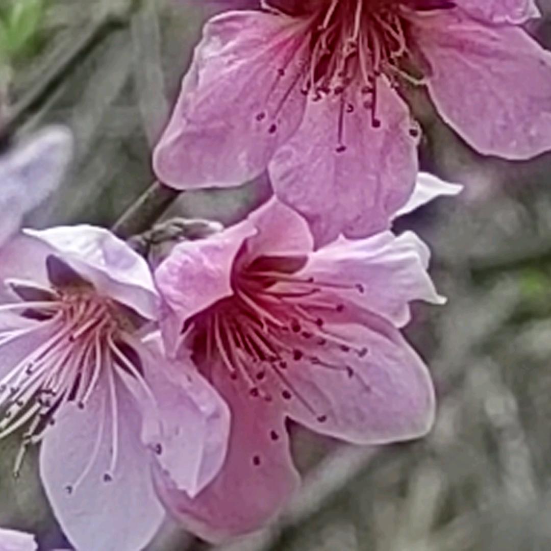 天意