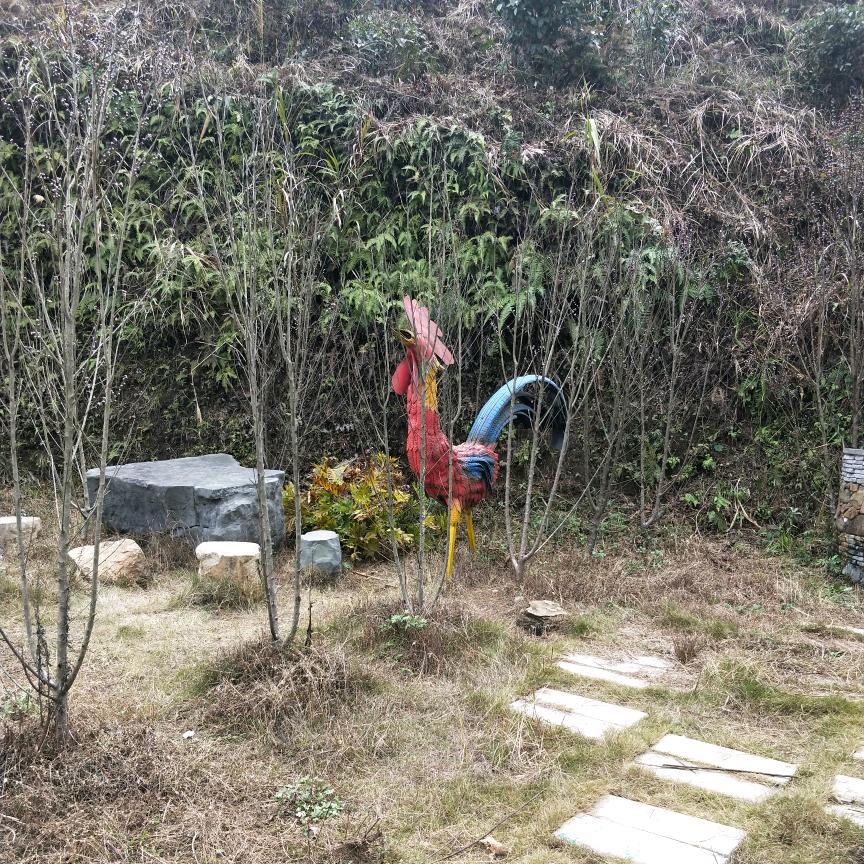 梦想成真
