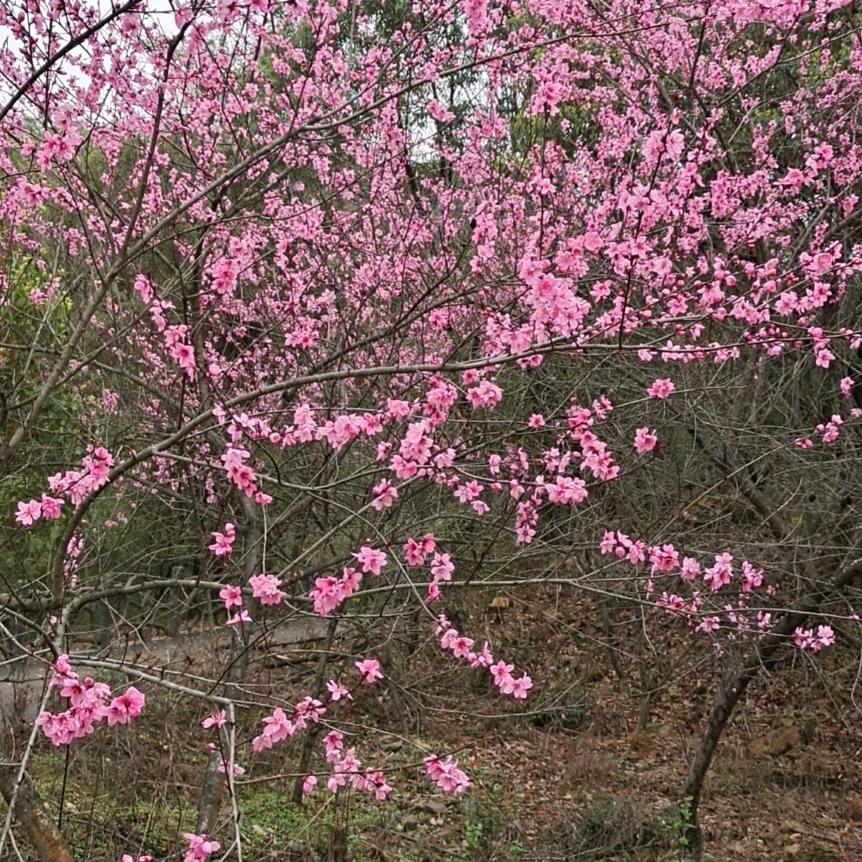 @∗❛ั谈笑风云❛ั∗