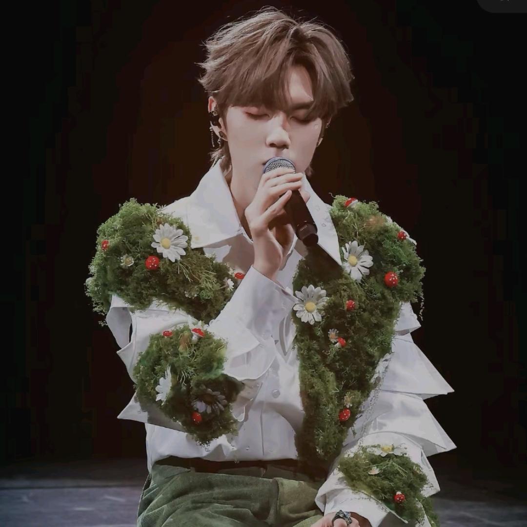 兔兔真可爱(๑•.•๑)