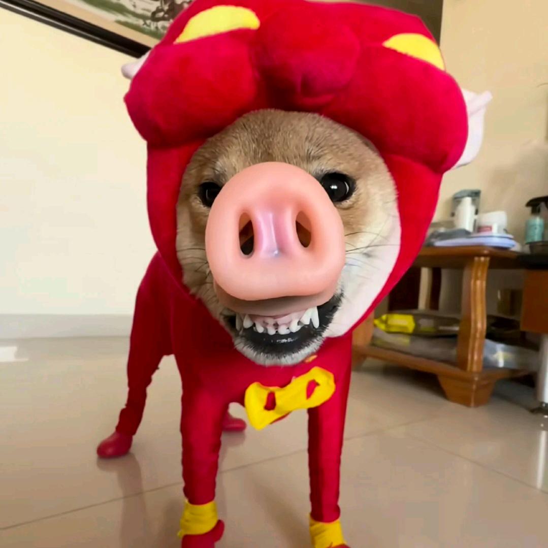 谁看擦边谁是狗