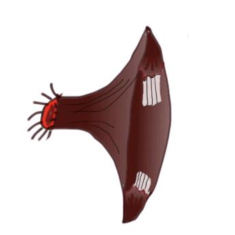 慕悲۩（天天台球）