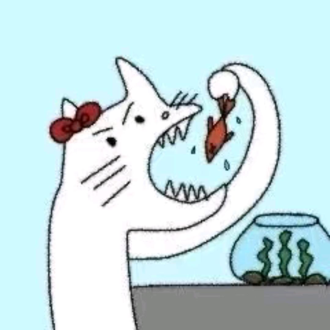 大风🌊头像