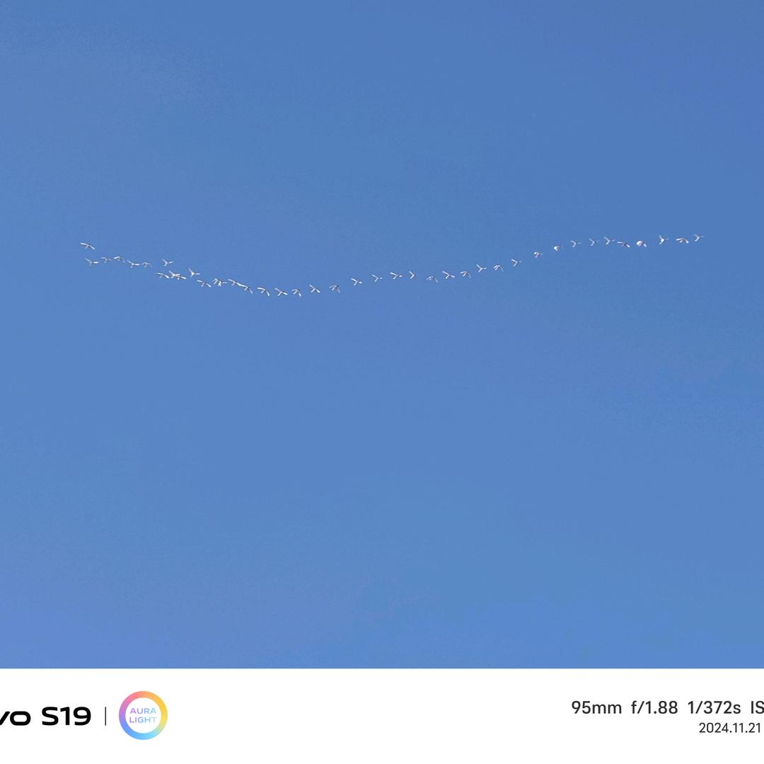 河南化工桶厂家