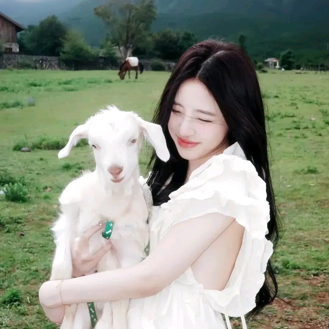 小白单机自选硬盘