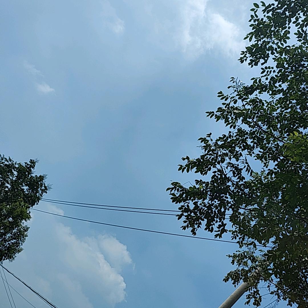 六六六六六六六