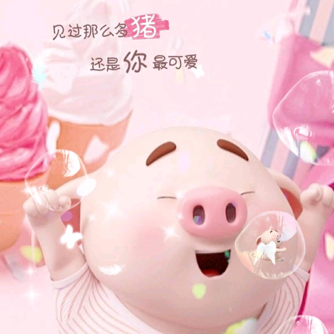 木子云天