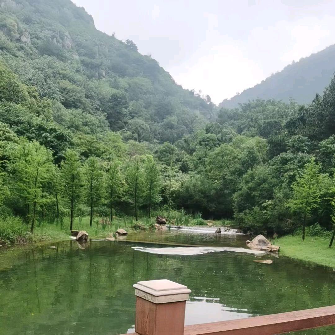 @小虎牙