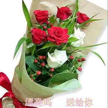 我是梅梅