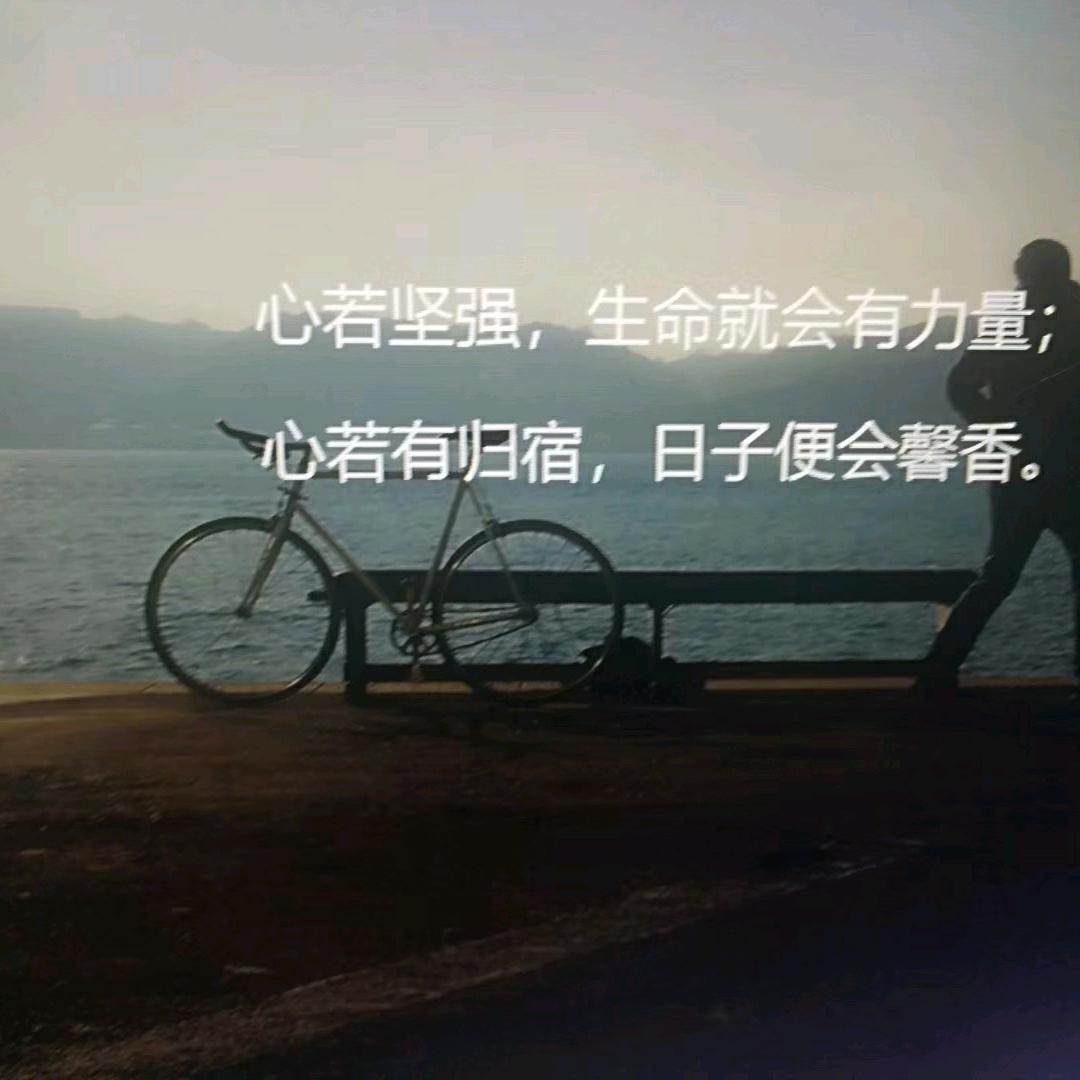 米拉