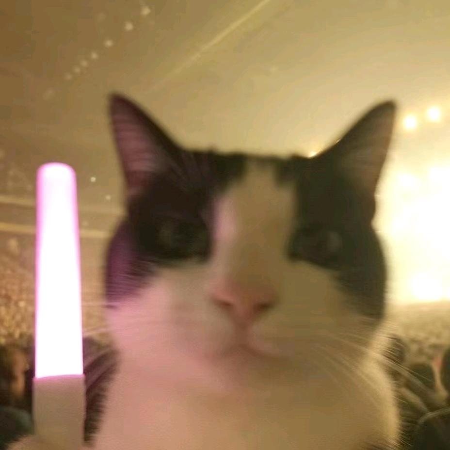 ̶L̶o̶n̶̶e̶l̶y̶̶̶̶̶̶̶