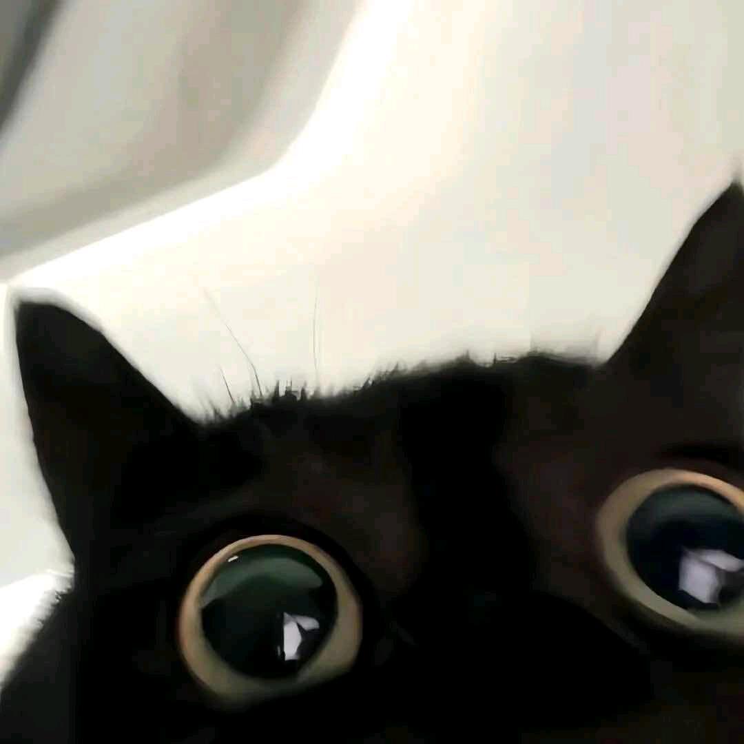 毒豆角