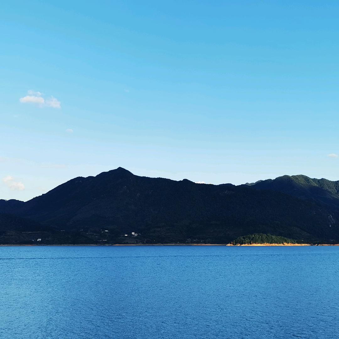 翔桐果业琪琪