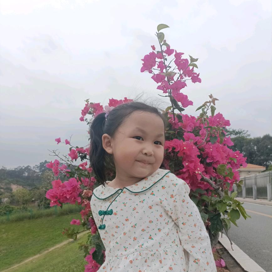 @辰辰