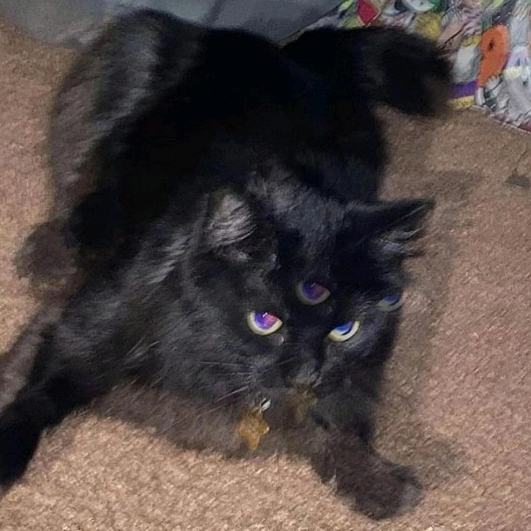 别和奇怪的我说话