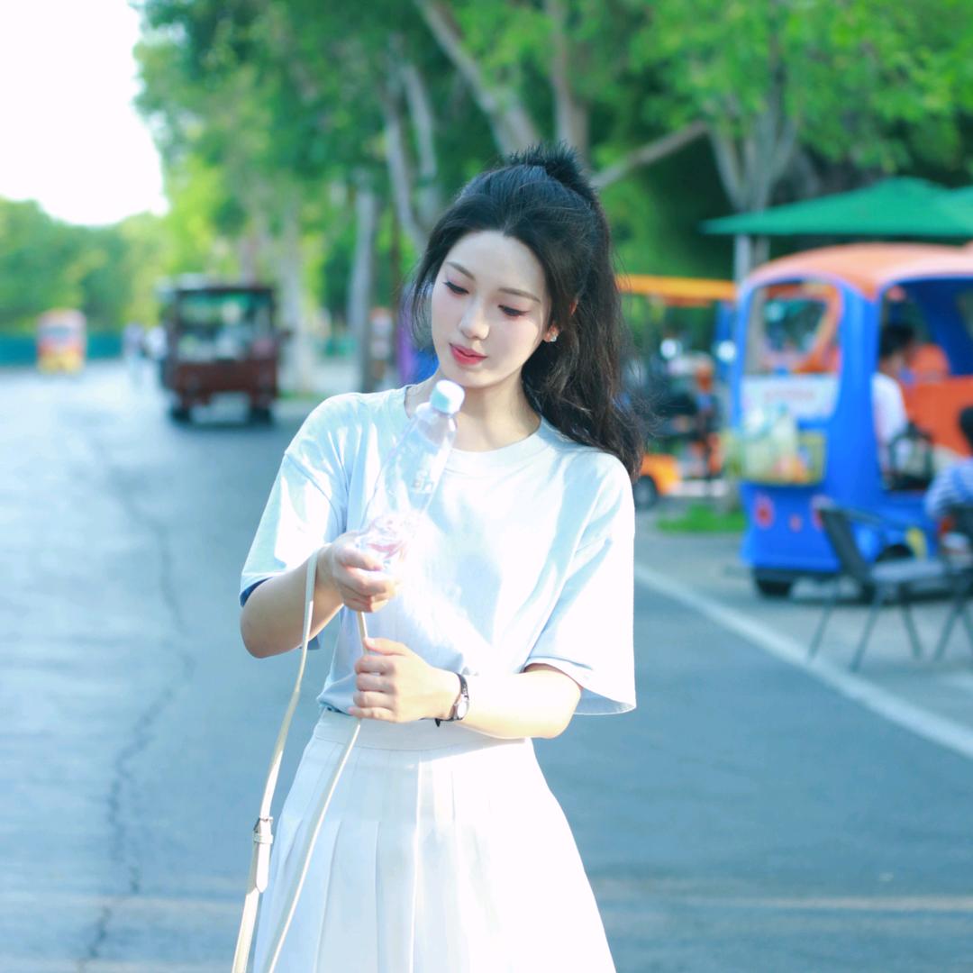 雁南归.