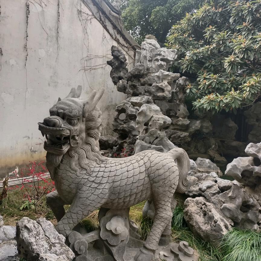 红狐