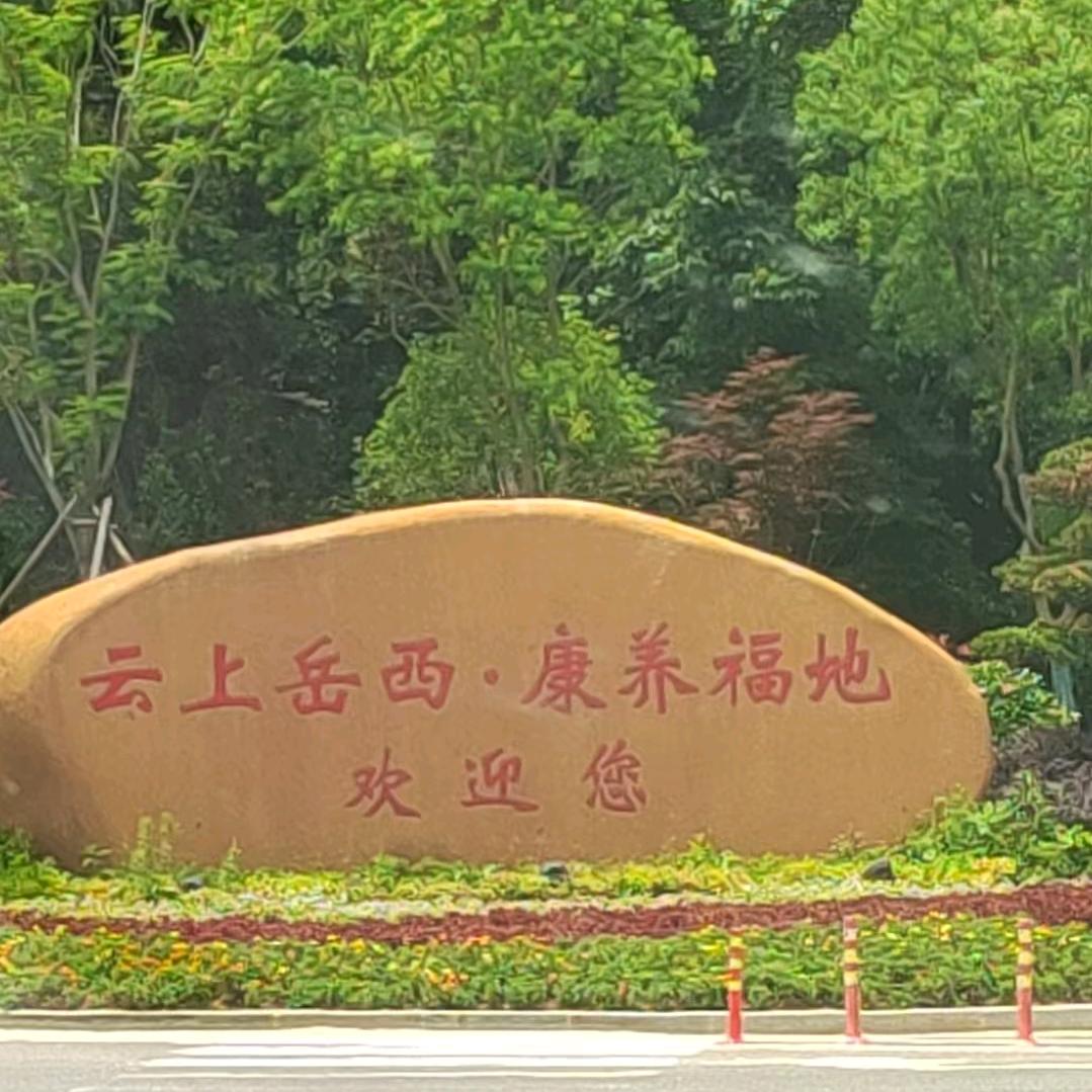 风雨同舟