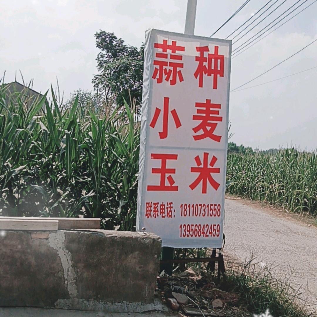 逸凡